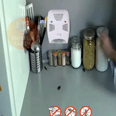 🔥No más cucarachas, ratones, insectos ni bichos